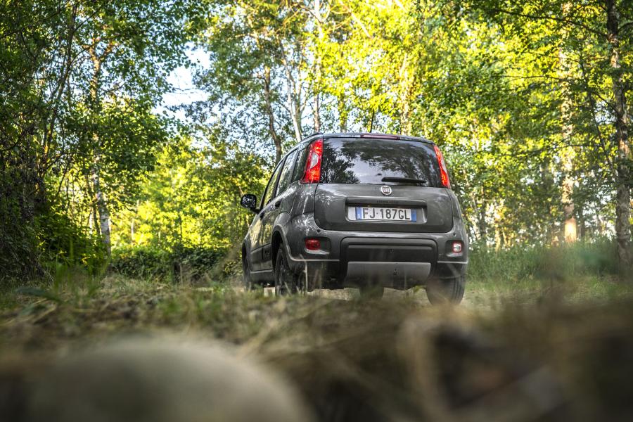  Fiat Panda 4x4 2017 года  (фото 19 из 26)